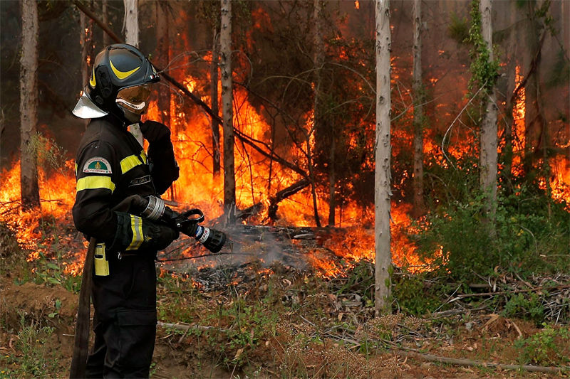 Chile: incêndios florestais deixam milhares desabrigados