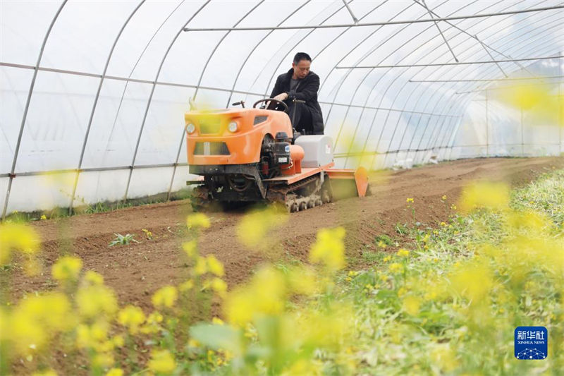Galeria: agricultores est?o ocupadas lavrando a terra na primavera