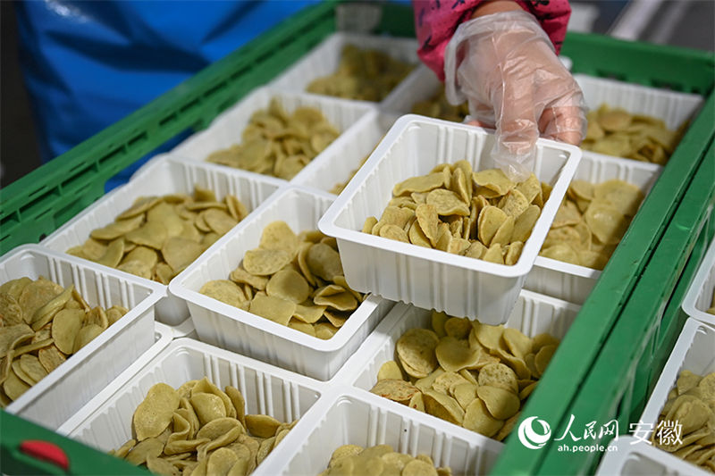 Anhui: vila com oficinas de produ??o caseira de tofu torna-se modelo nacional