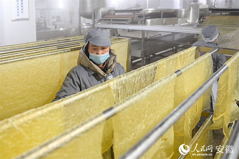 Anhui: vila com oficinas de produ??o caseira de tofu torna-se modelo nacional