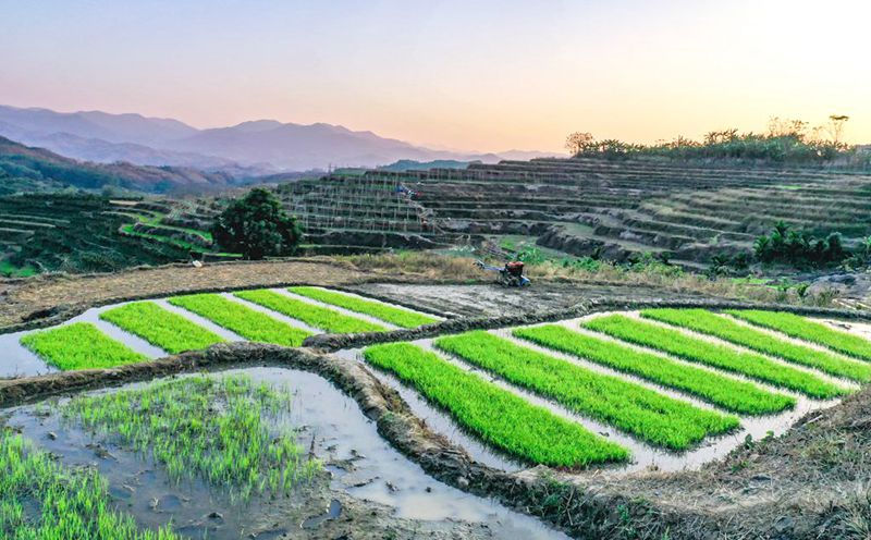 Hainan: terra?os vibrantes com chegada da primavera