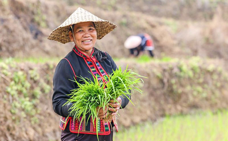 Hainan: terra?os vibrantes com chegada da primavera