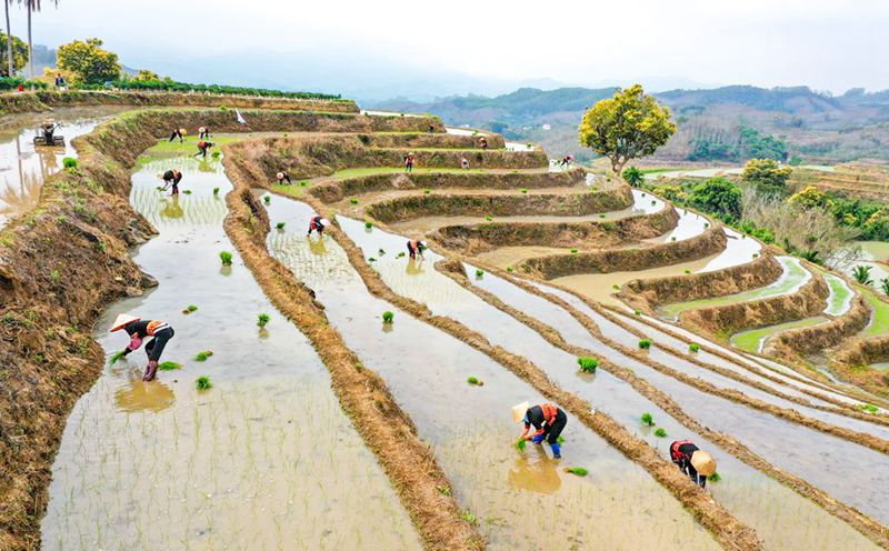 Hainan: terra?os vibrantes com chegada da primavera