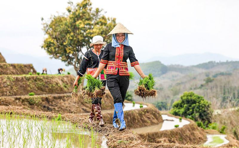 Hainan: terra?os vibrantes com chegada da primavera
