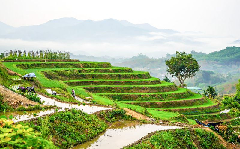Hainan: terra?os vibrantes com chegada da primavera
