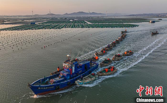 Pescadores est?o ocupados no leste da China