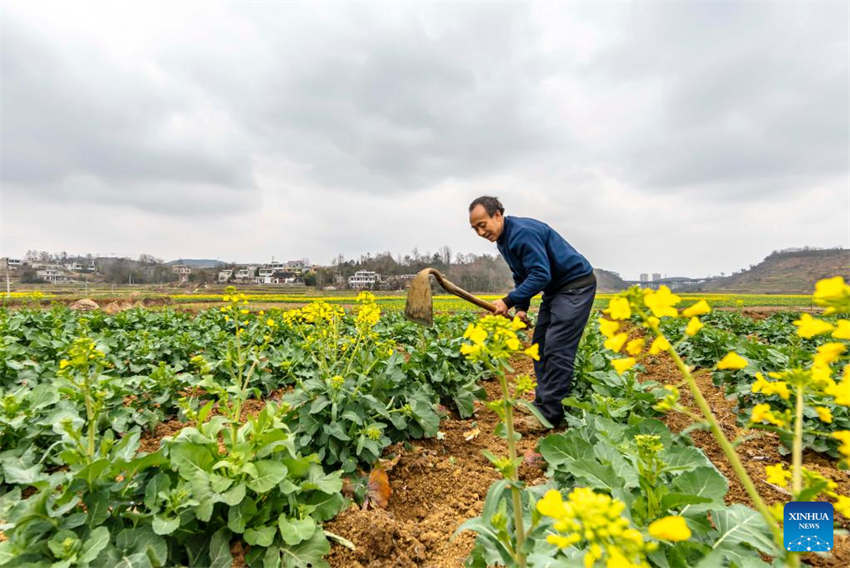 Agricultura da primavera avan?a em toda a China