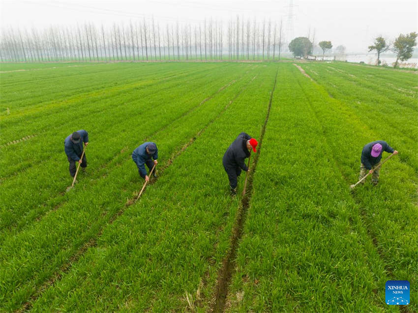 Agricultura da primavera avan?a em toda a China