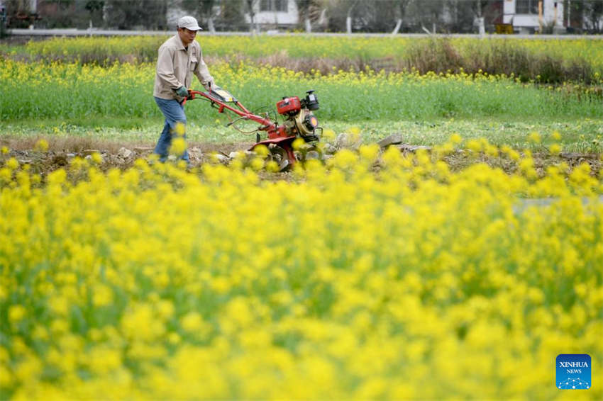 Agricultura da primavera avan?a em toda a China