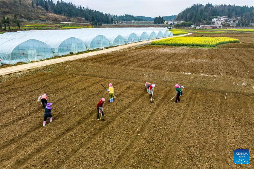 Agricultura da primavera avan?a em toda a China