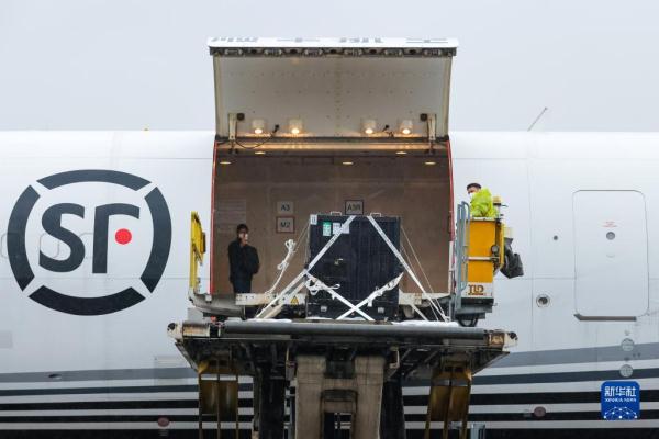 Xiang Xiang, panda gigante nascida no Jap?o, retorna à China
