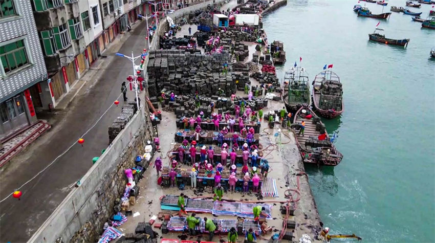 Galeria: 600 milh?es de abalone lan?ado para piscicultura em Fujian