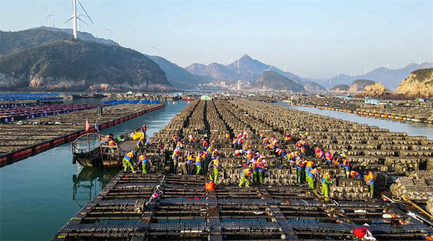 Galeria: 600 milh?es de abalone lan?ado para piscicultura em Fujian