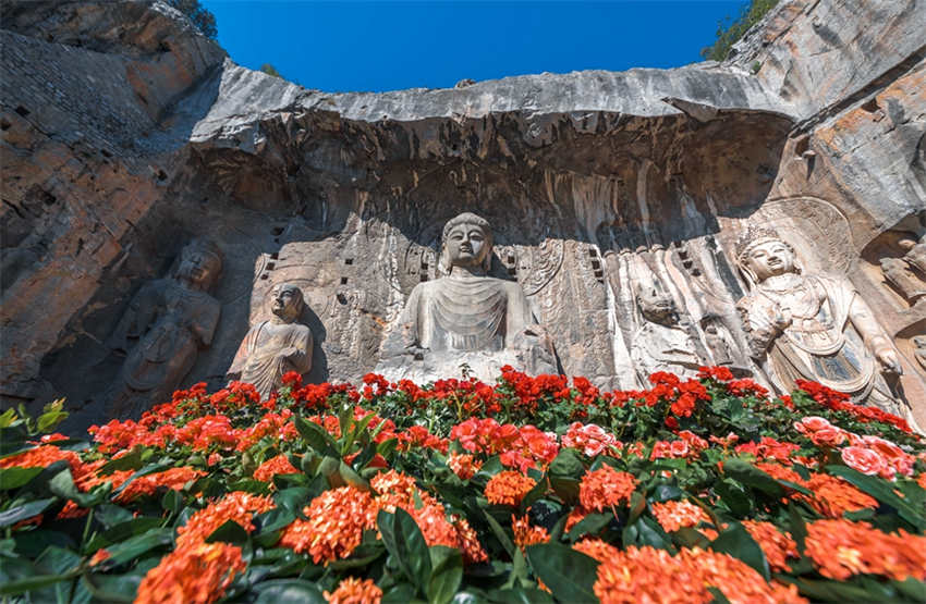 40o Festival Cultural de Peóneas de Luoyang arranca em 1o de abril
