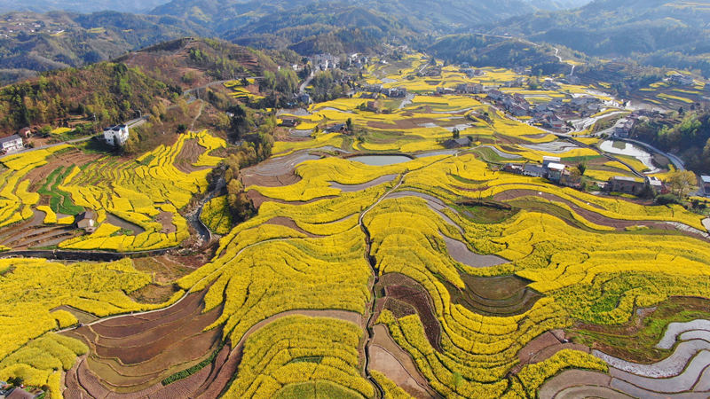 Galeria: Shaanxi dá as boas-vindas à primavera