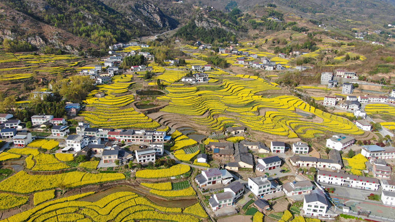 Galeria: Shaanxi dá as boas-vindas à primavera