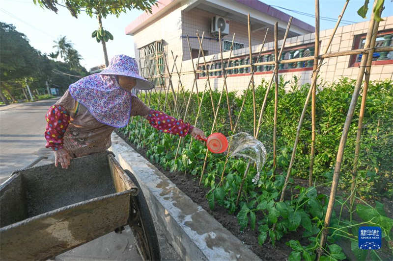 Galeria: Grandes mudan?as de vilas antigas em Hainan