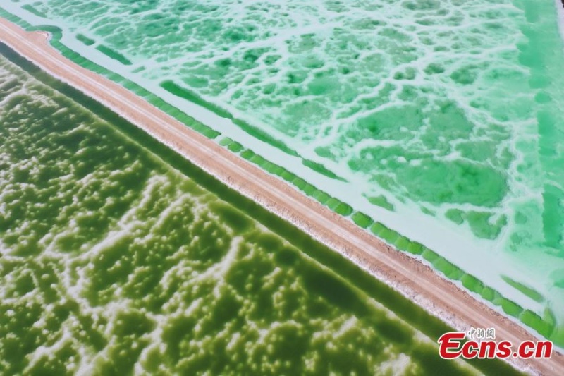 Lago Esmeralda chama aten??o na Bacia de Qaidam em Qinghai
