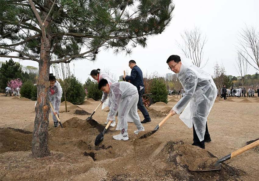 Xi Jinping planta árvores em Beijing, pedindo mais esfor?os de reflorestamento para desenvolvimento verde e constru??o da bela China