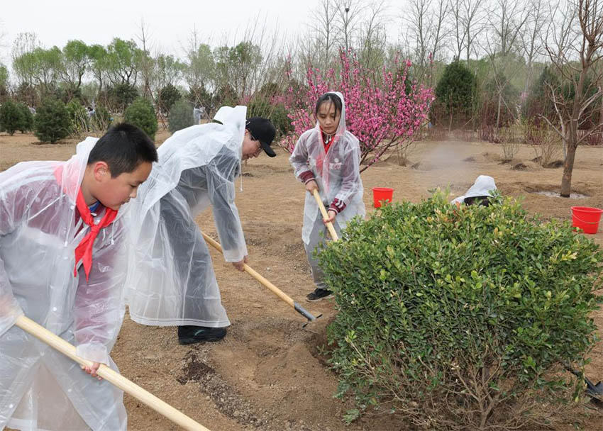 Xi Jinping planta árvores em Beijing, pedindo mais esfor?os de reflorestamento para desenvolvimento verde e constru??o da bela China