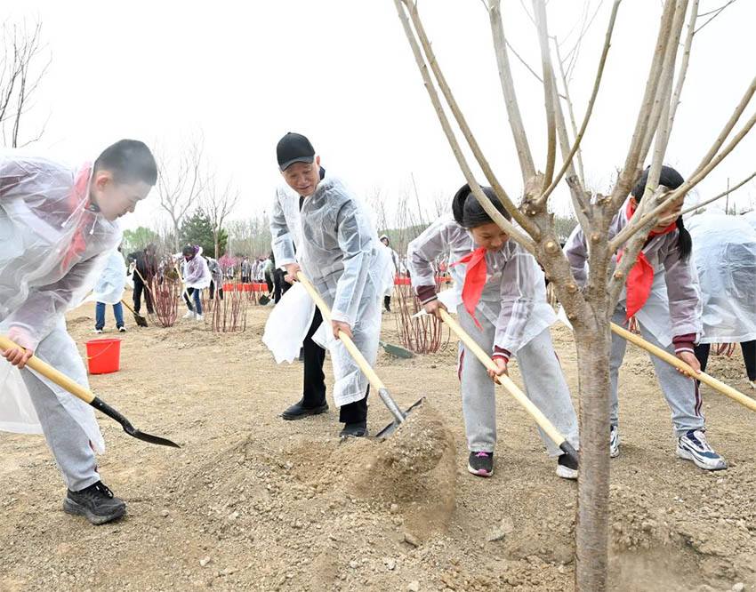 Xi Jinping planta árvores em Beijing, pedindo mais esfor?os de reflorestamento para desenvolvimento verde e constru??o da bela China