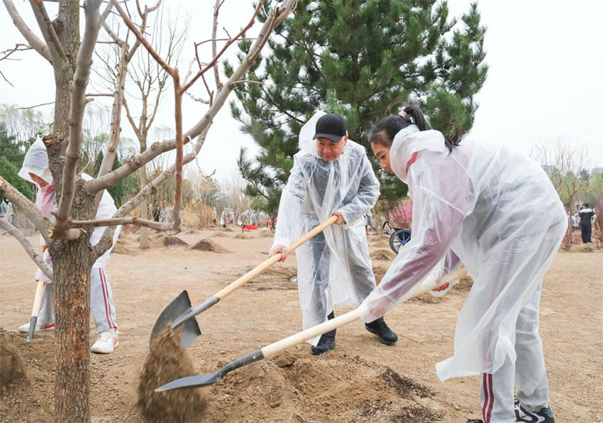 Xi Jinping planta árvores em Beijing, pedindo mais esfor?os de reflorestamento para desenvolvimento verde e constru??o da bela China
