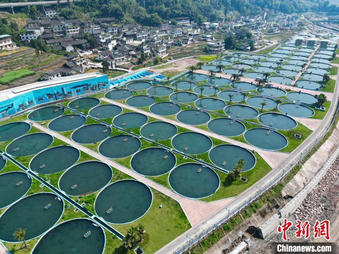 Galeria: base de cria??o de esturj?o em Sichuan produz anualmente 50 toneladas de caviar
