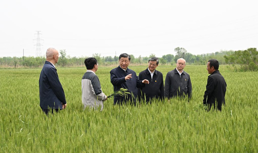 Xi Jinping pede que a regi?o Beijing-Tianjin-Hebei se torne pioneira na busca da moderniza??o chinesa