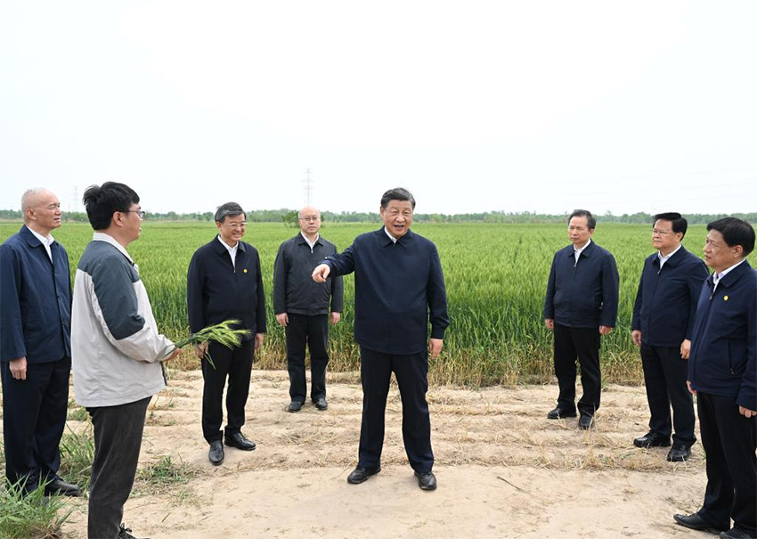 Xi Jinping pede que a regi?o Beijing-Tianjin-Hebei se torne pioneira na busca da moderniza??o chinesa