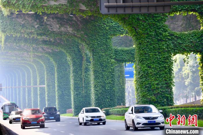Galeria: paisagem verde sob viaduto atrai cidad?os no sudoeste da China