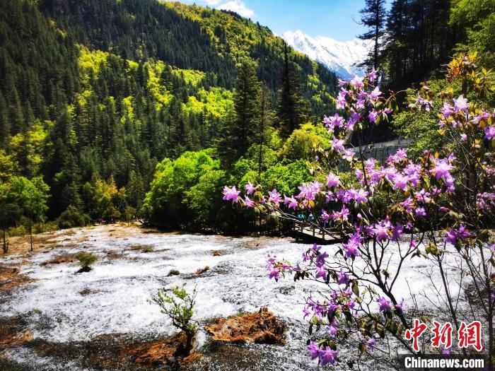 Jiuzhaigou recebeu mais de 1 milh?o de visitantes em 2023