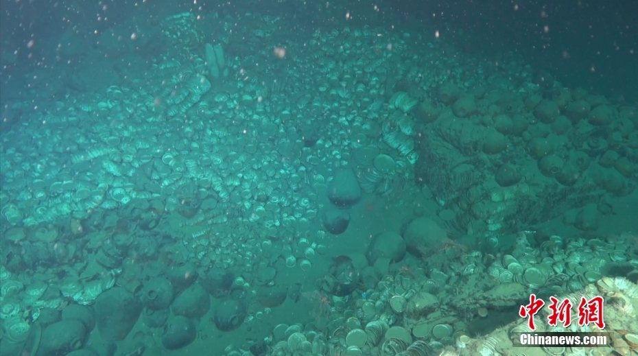 Dois naufrágios antigos s?o descobertos no Mar do Sul da China