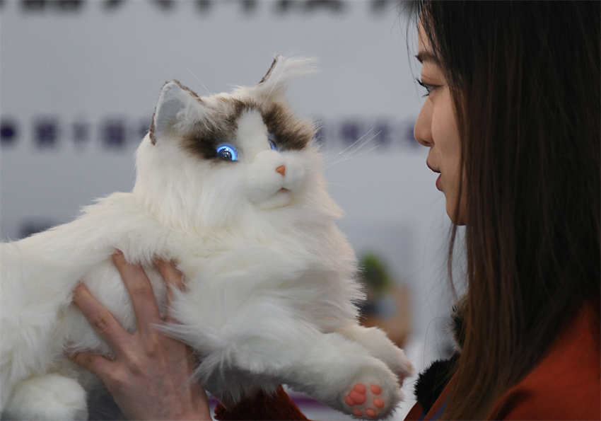 8a Cúpula de Talentos de Robótica e Economia Inteligente da China é realizada em Zhejiang