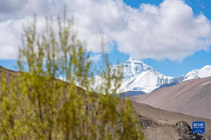 Regi?o do Monte Qomolangma testemunha melhoria do ambiente ecológico, dizem especialistas