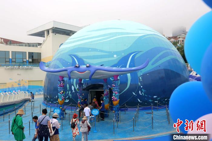 Cúpula de 360 graus de teatro traz banquete audiovisual oceanico no leste da China