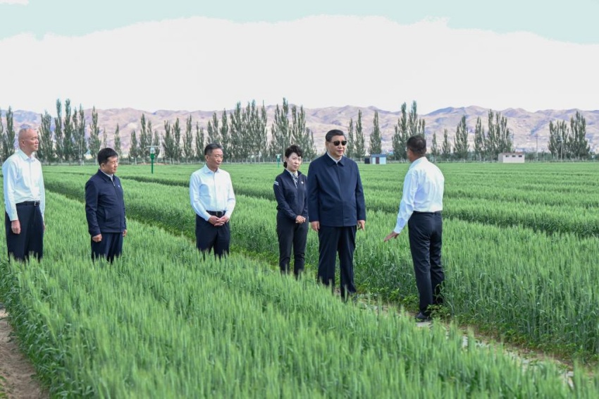 Xi Jinping pede esfor?os sustentados para controlar a desertifica??o