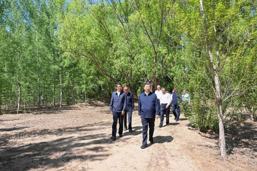 Xi Jinping pede esfor?os sustentados para controlar a desertifica??o