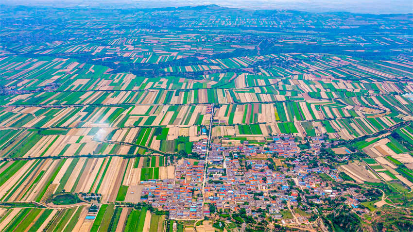 Galeria:?condado de Shanxi aposta na integra??o da agricultura com o paisagismo para atra??o de turistas