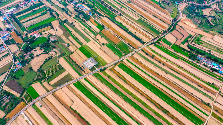 Galeria:?condado de Shanxi aposta na integra??o da agricultura com o paisagismo para atra??o de turistas