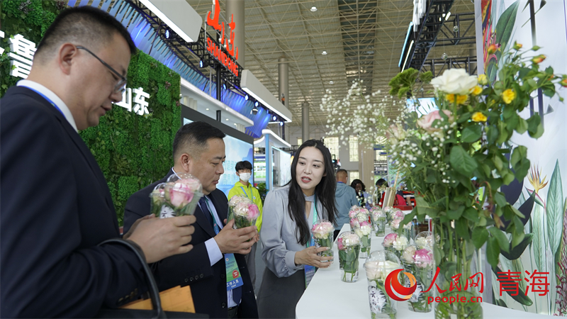 Qinghai: Terceira Exposi??o Ecológica Internacional da China abre ao público
