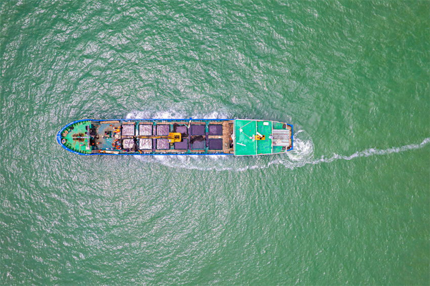 Mais de 13 milh?es de peixes foram soltos no Mar da China Oriental