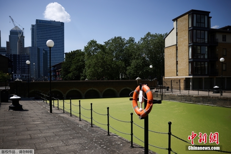 Reino Unido: partes do rio Tamisa em Londres ficam 