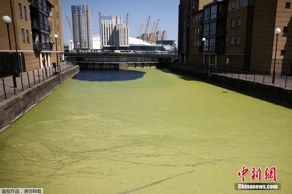 Reino Unido: partes do rio Tamisa em Londres ficam 