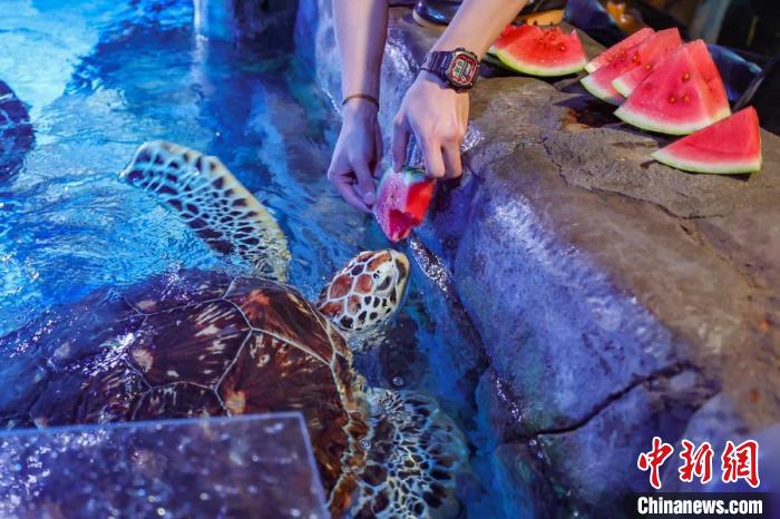 Animais marinhos experimentam ver?o criativo no Mundo Subaquático de Nanjing
