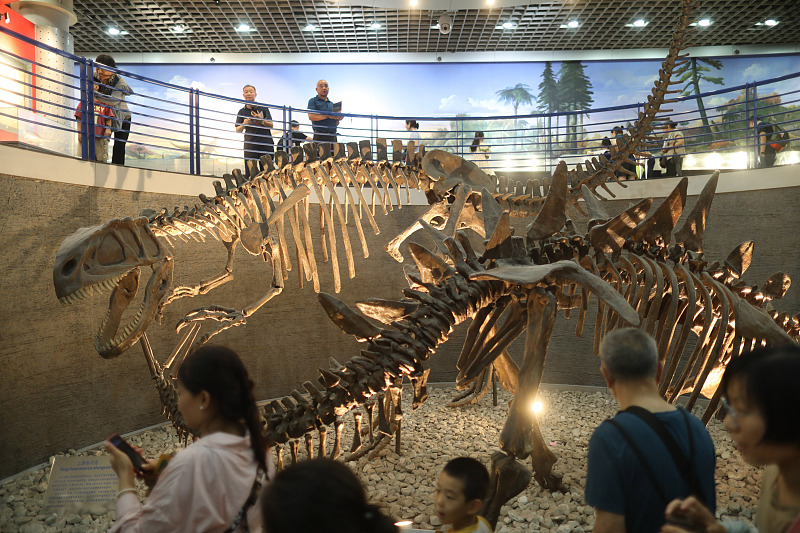 Turistas se reúnem para explorar as diversas atra??es da China