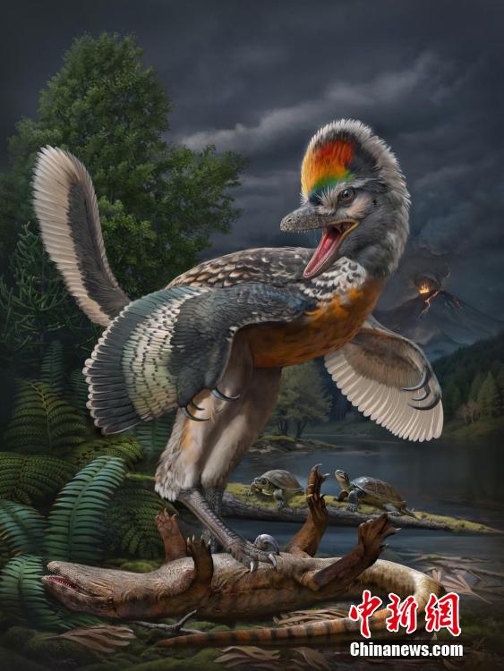 China descobre fóssil do dinossauro de avialae com 150 milh?es de anos