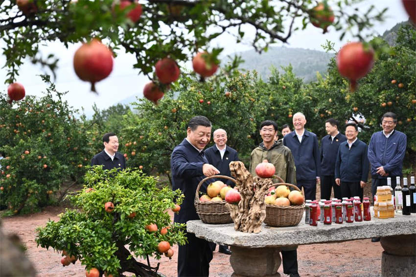 Xi Jinping pede que Zhejiang escreva um novo capítulo no avan?o da moderniza??o chinesa