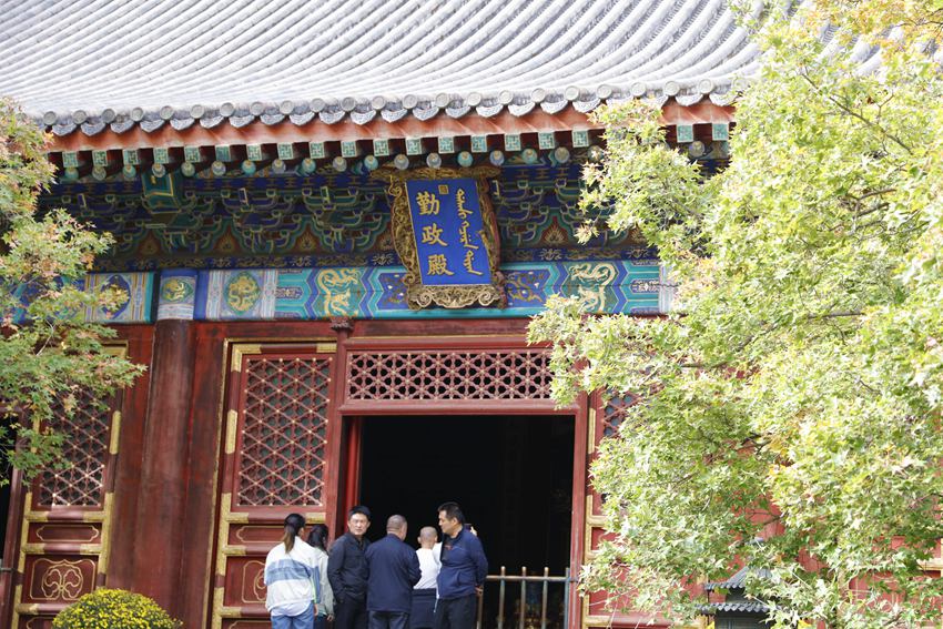 Galeria: florescimento de crisantemos atrai visitantes ao parque Xiangshan