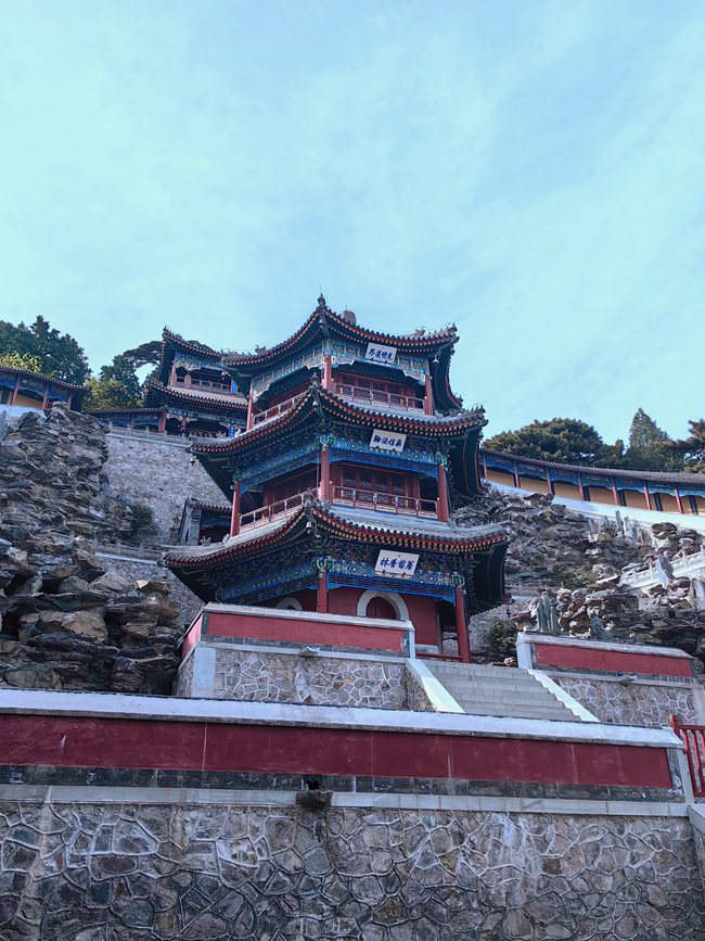 Galeria: florescimento de crisantemos atrai visitantes ao parque Xiangshan