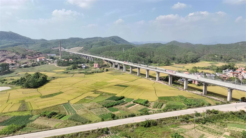Ferrovia Fangchenggang - Dongxing iniciou opera??o de testes